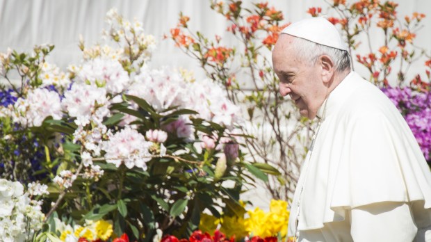 Topshots &#8211; Pope Francis walks past flowers &#8211; March 30, 2016