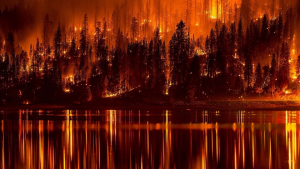 WEB-FOREST-FIRE-SKEEZE-PIXABAY-CC