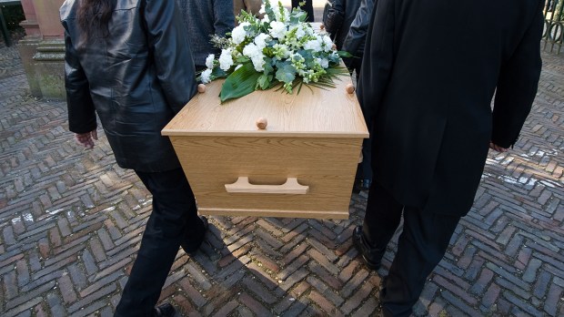 web-casket-funeral-bearers-white-roses-robert-hoetink-shutterstock_385408309