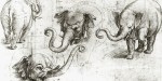 ELEPHANT HANNO