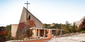 Why I don&#8217;t regret giving up a scholarship in order to go to Catholic college
