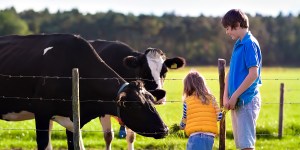 4 Spiritual benefits of modern homesteading