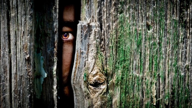 MAN HIDING,WOOD PANEL