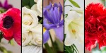 FLOWERS,CHRISTIAN MEANING