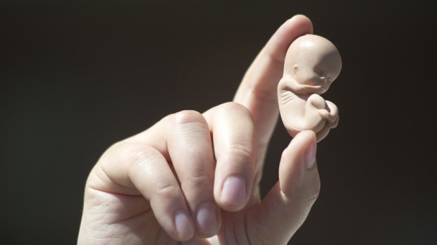 web3-fetus-baby-child-abortion-reporter