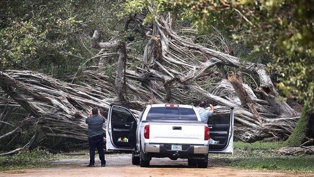 HURRICANE IRMA,FLORIDA