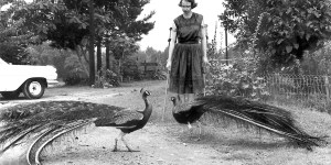Flannery O&#8217;Connor&#8217;s farm, Andalusia, has a new owner