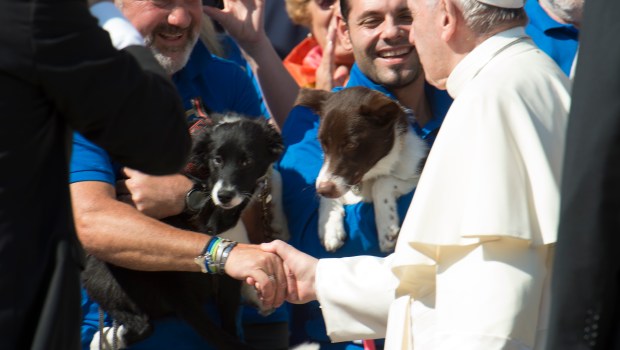 POPE FRANCIS,GENERAL AUDIENCE
