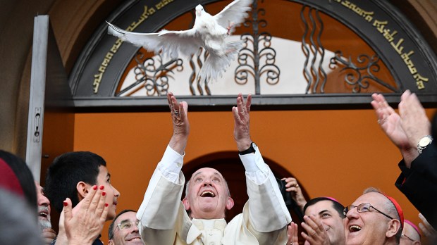 POPE FRANCIS;DOVE