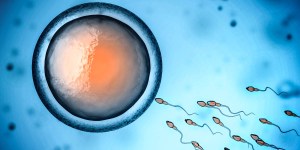 HHS draft plan recognizes that life begins at conception