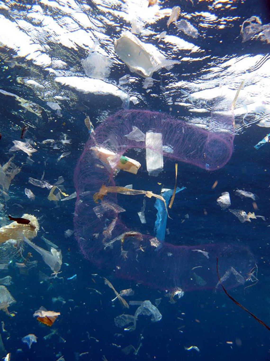 OCEAN POLLUTION