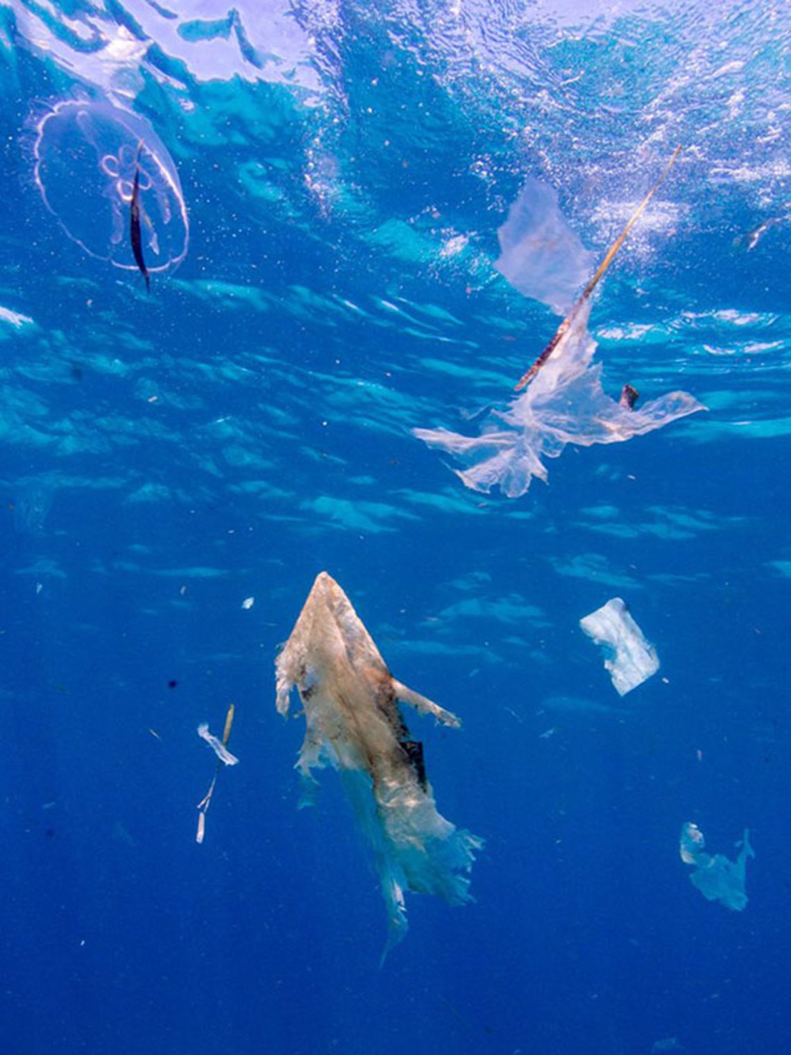 OCEAN POLLUTION