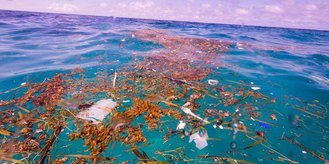 OCEAN POLLUTION