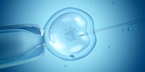 France passes controversial bioethics law