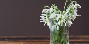 Home decorating tips from 3 saints who believed that beauty matters