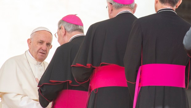 POPE FRANCIS GENERAL AUDIENCE