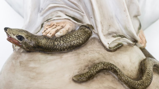 BLESSED,VIRGIN,MARY,SNAKE,SERPENT