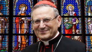 CARDINAL AMATO