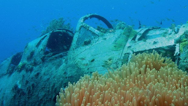 PAPUA NEW GUINEA,SCUBA DIVING