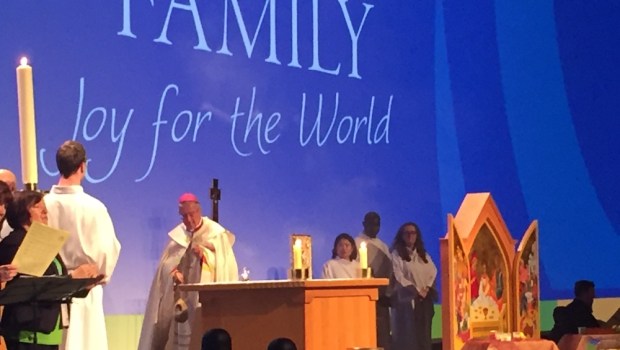 WORLD MEETING OF FAMILIES