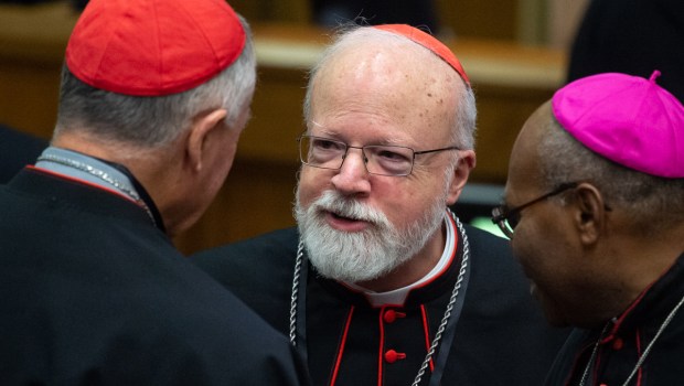 VATICAN SEX ABUSE