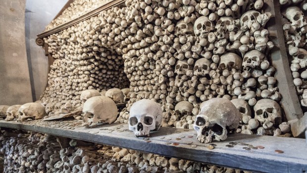 Unused bones