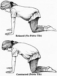 pelvic-tilt-hands-and-knees.jpg