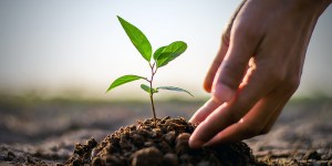 5 Reasons environmentalists should call on Catholic principles