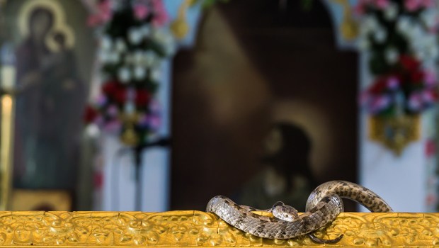 Dormition Day of Virgin Mary
