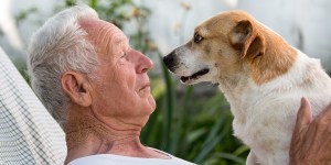 5 Ways that dogs make life better &#8230; according to the Bible