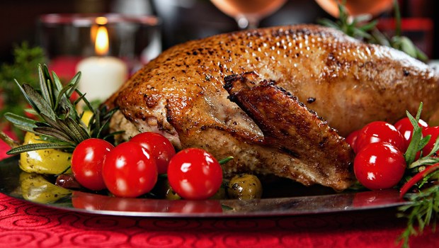 GOOSE DINNER