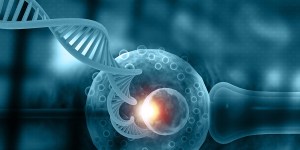 Arkansas begins new year with anti-cloning law
