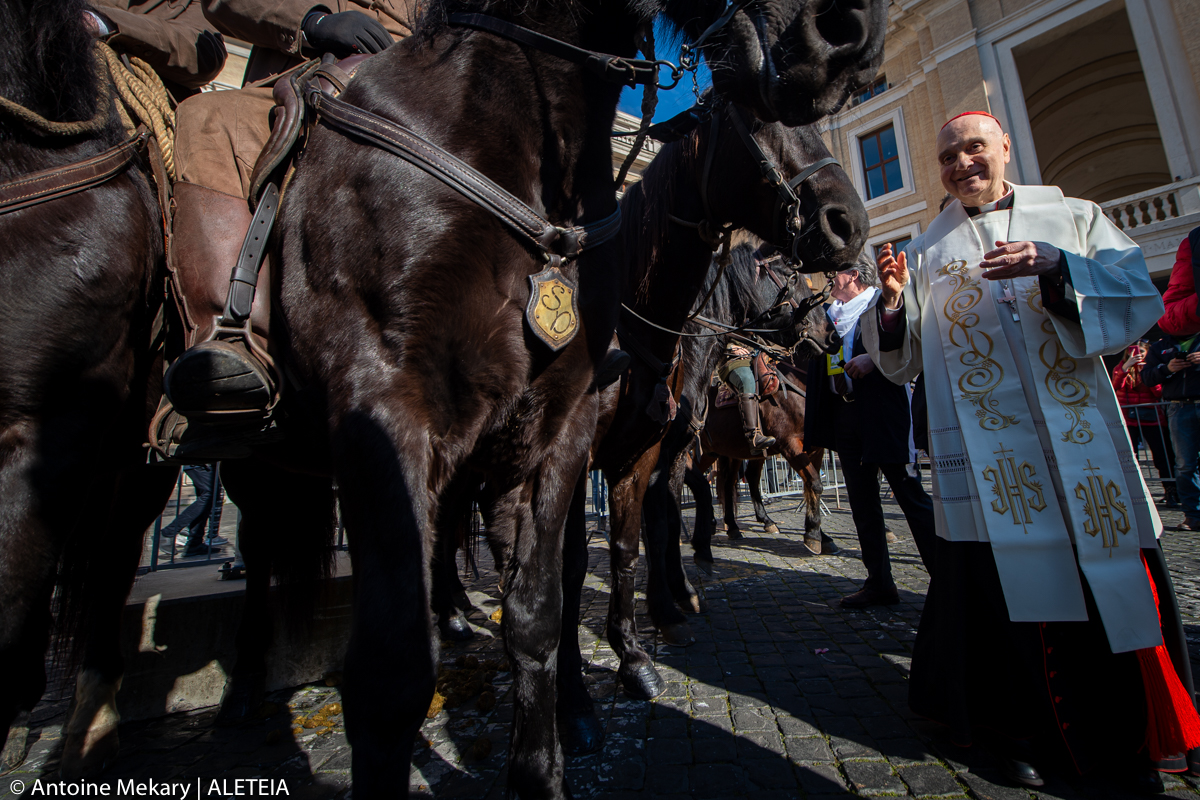 blessing the animals