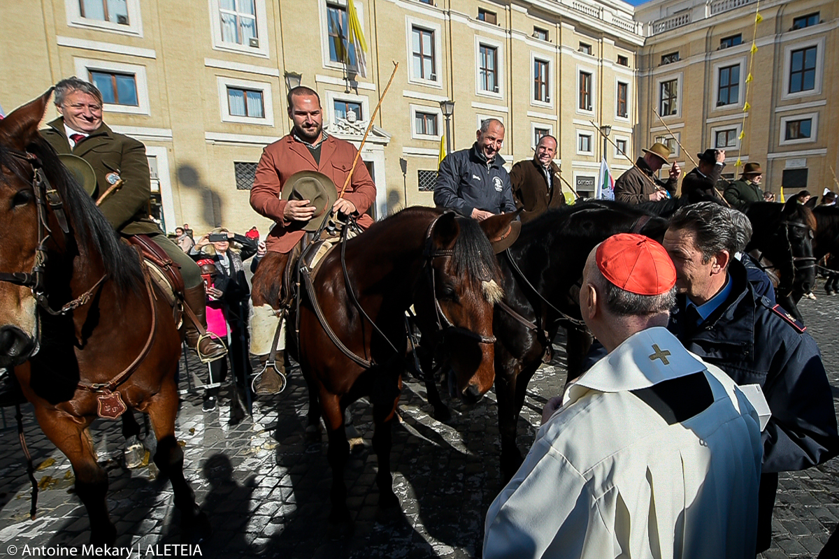 blessing the animals