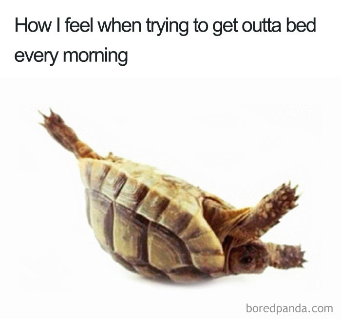 outofbed.jpg