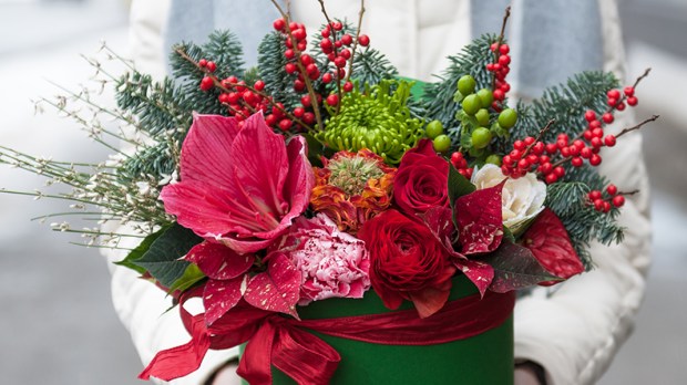 web3-Amaryllis-flower-christmas-plant-shutterstock_546328261.jpg