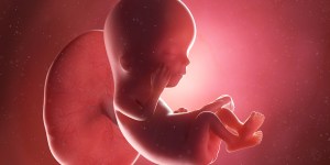Most Americans believe unborn children have rights, poll shows