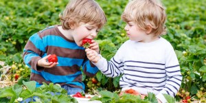 10 Benefits siblings bring