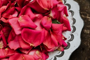 Why Pentecost is called “Rose Sunday”