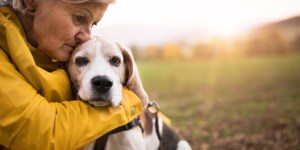Catholic prayer to say goodbye to a pet