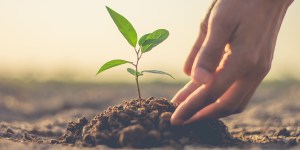 Why is September 1 the World Day of Prayer for the Care of Creation?