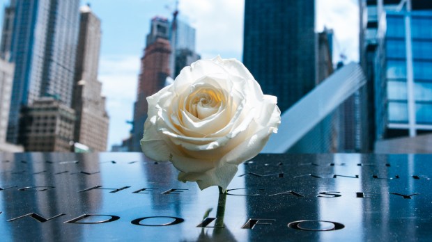 September 11