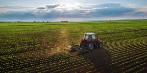 How farming can be a vocation from God