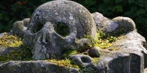 The ‘Tree of Death’ haunts many a cemetery