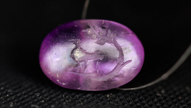 Balm of Gilead