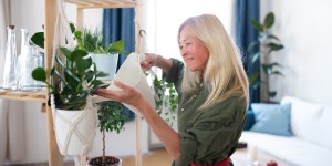 5 Plants for your home if you want to boost your happiness
