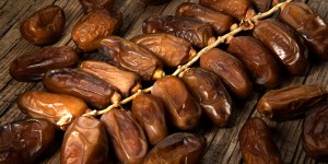 Ancient date palms from the time of Christ revived by science and yielding fruit