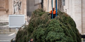 2021 Christmas tree arrives to St. Peter&#8217;s (Images)