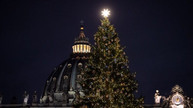 Vatican's Christmas Tree and Nativity Scene