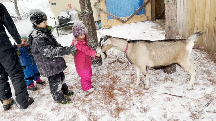 WEB-JACOB-RUDD-FAMILY-CHILDREN-GOAT-SNOW-PROVIDED.png